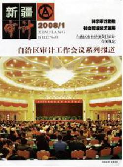 新疆审计期刊